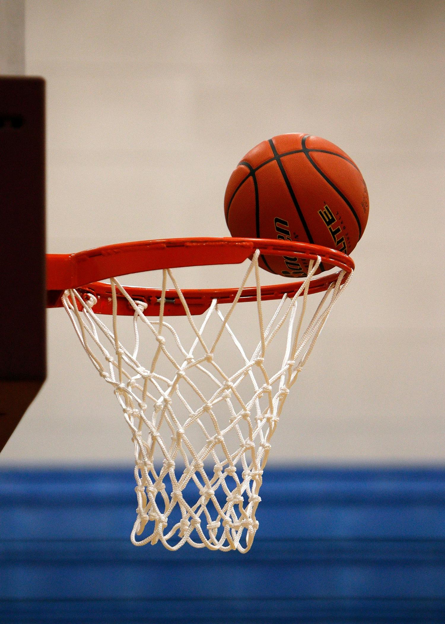 Sports Catalogues at Wholesale prices